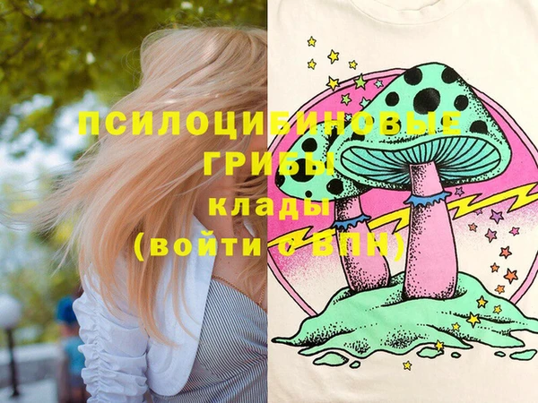 первитин Новодвинск