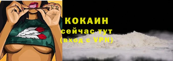 амф Новозыбков