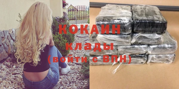 прущие грибы Нефтекумск