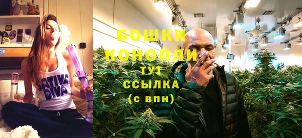 прущие грибы Нефтекумск