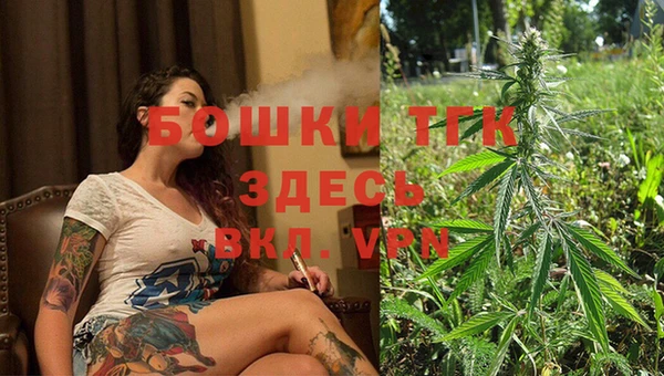 прущие грибы Нефтекумск