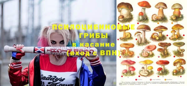 амф Новозыбков
