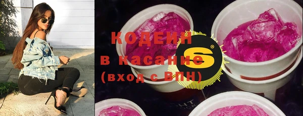 прущие грибы Нефтекумск