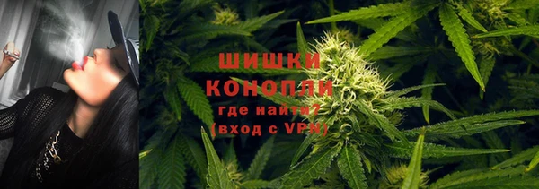 первитин Новодвинск
