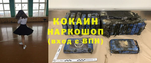 первитин Новодвинск