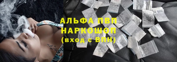 амф Новозыбков