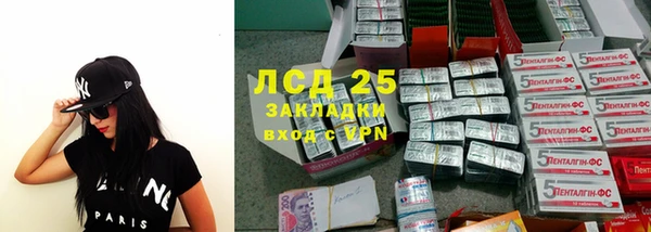 прущие грибы Нефтекумск
