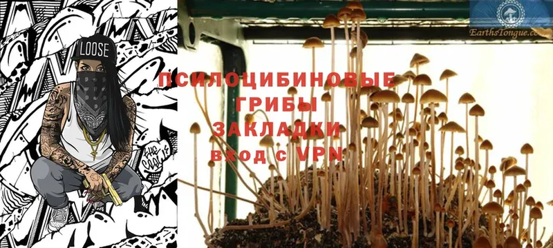 Галлюциногенные грибы Magic Shrooms Лихославль