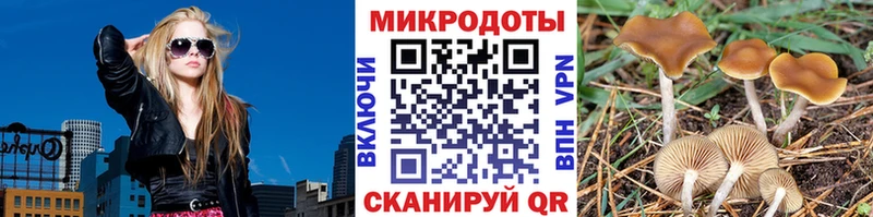 Псилоцибиновые грибы прущие грибы  Лихославль 